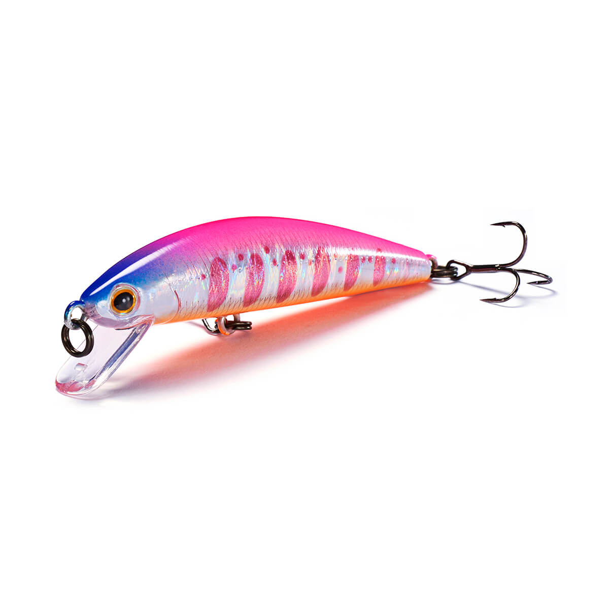 Pack of 10 Hard Minnow Fishing Lures Set Plastic Fishing Hard Baits Set  Topwater Lures Kit Bass Crankbait Swimbaits for Pikes Trout Walleye Redfish