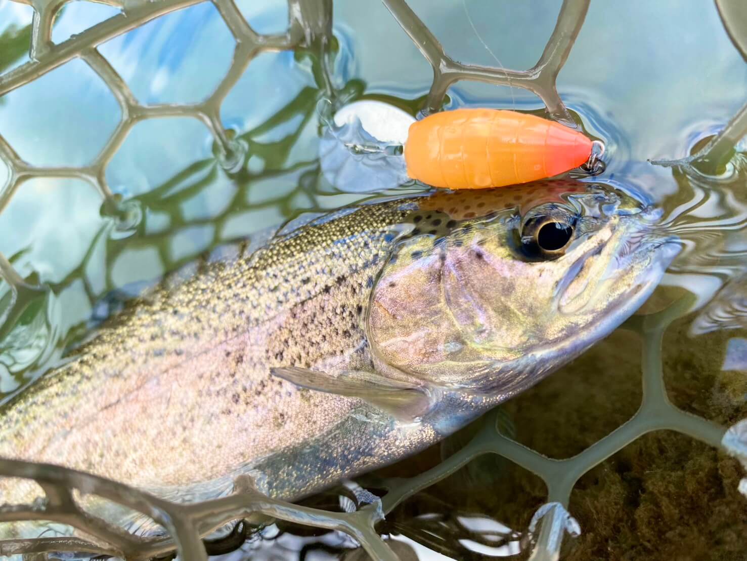 【新品・未使用】wynken ソフトボンバー - ダーククラウド 在庫 処分 セールベビー・キッズ - 【新品・未使用】wynken ソフト